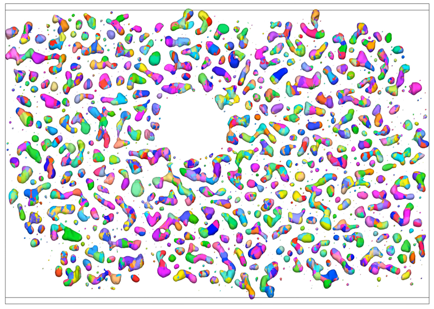 微信图片_20231201085300_副本.png